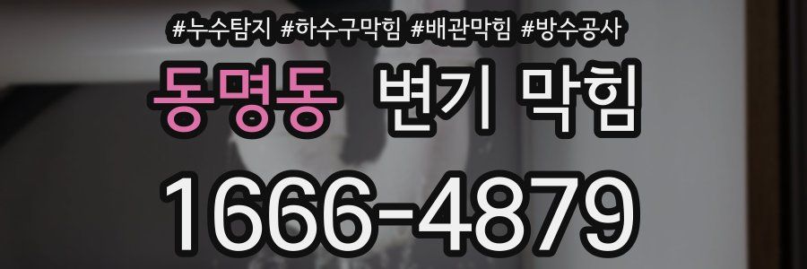 동명동 변기 막힘