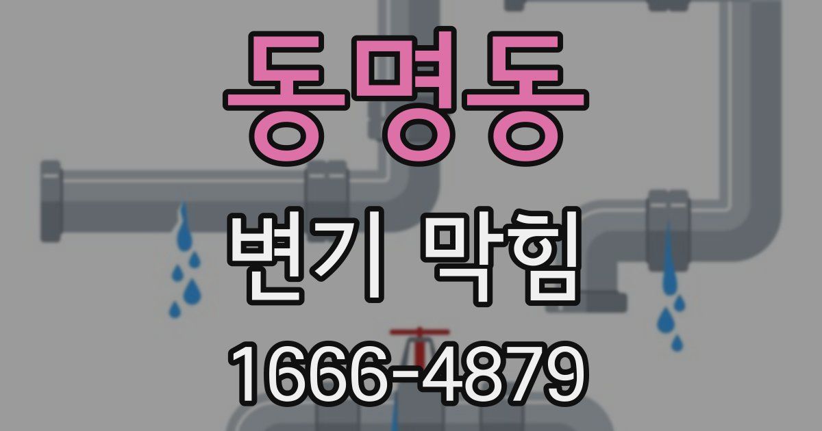 동명동 변기 막힘