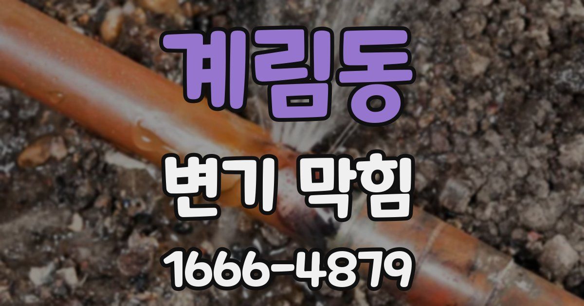 계림동 변기 막힘