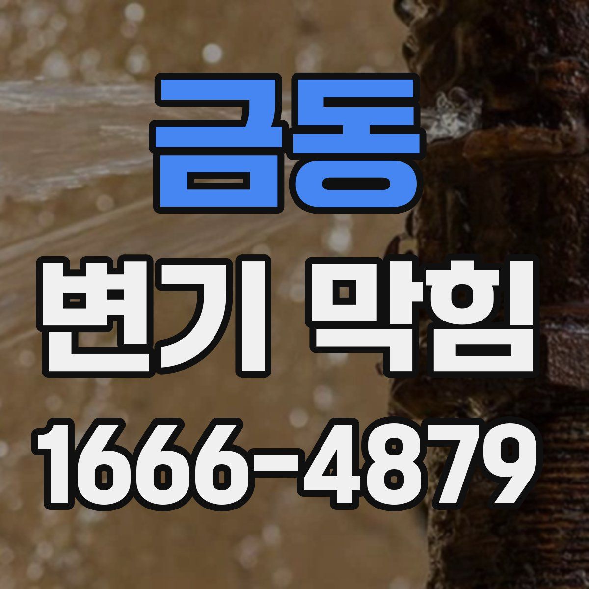 금동 변기 막힘