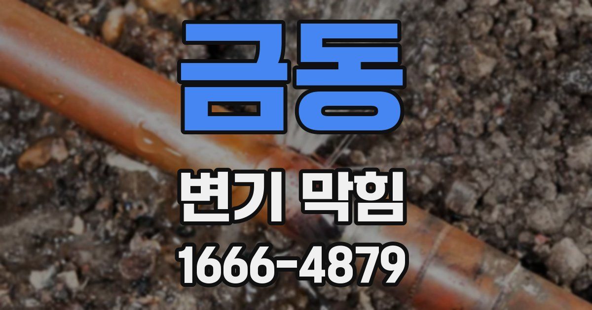 금동 변기 막힘