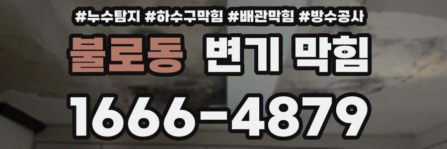 불로동 변기 막힘