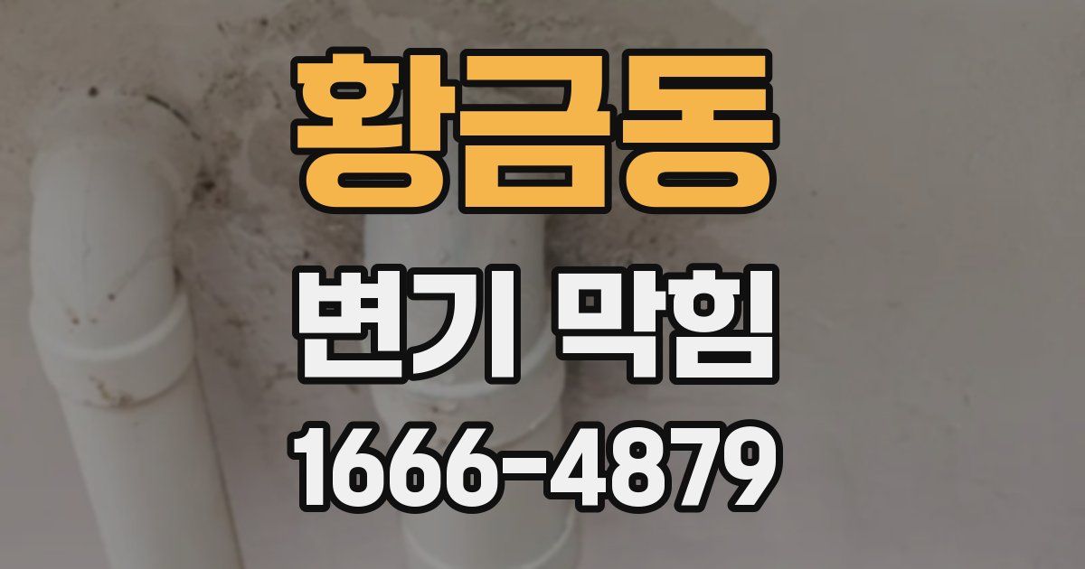 황금동 변기 막힘