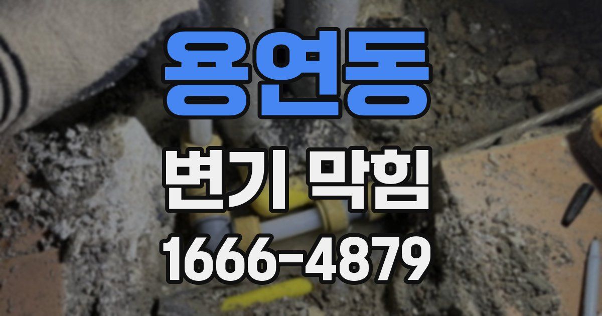 용연동 변기 막힘