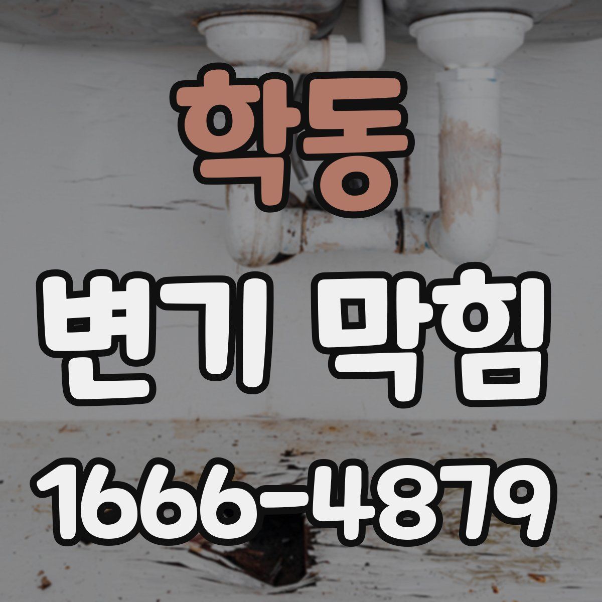 학동 변기 막힘