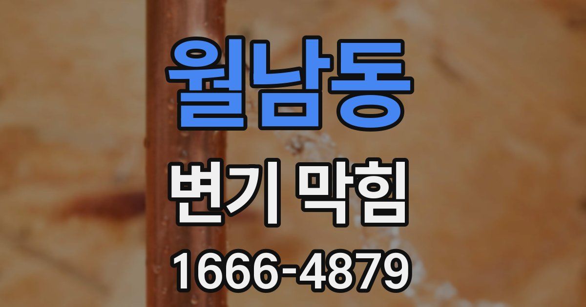 월남동 변기 막힘