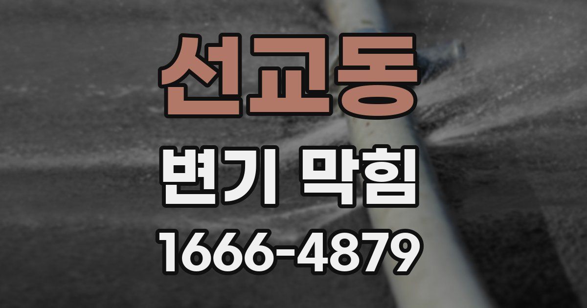 선교동 변기 막힘