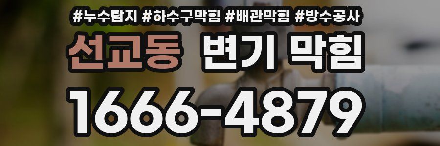 선교동 변기 막힘