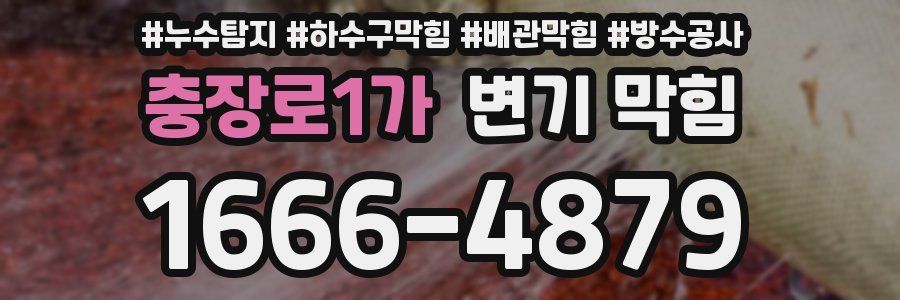 충장로1가 변기 막힘