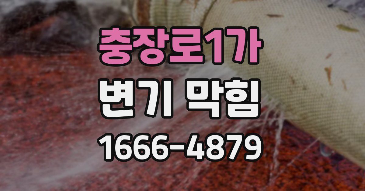 충장로1가 변기 막힘