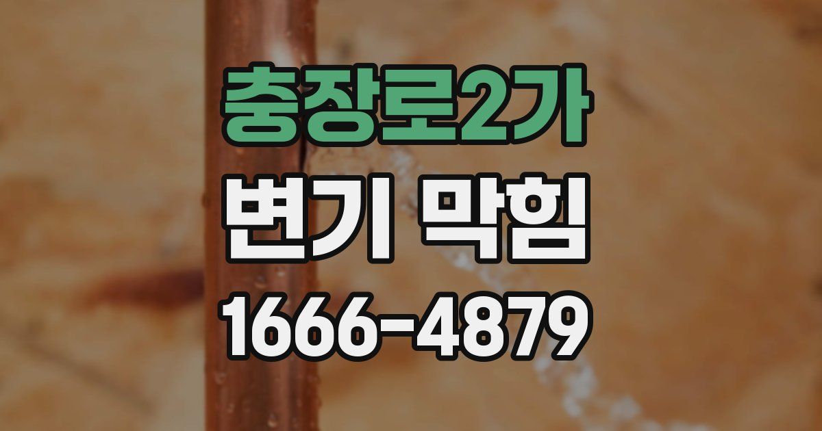 충장로2가 변기 막힘