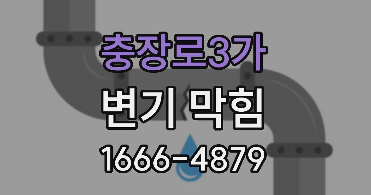 충장로3가 변기 막힘
