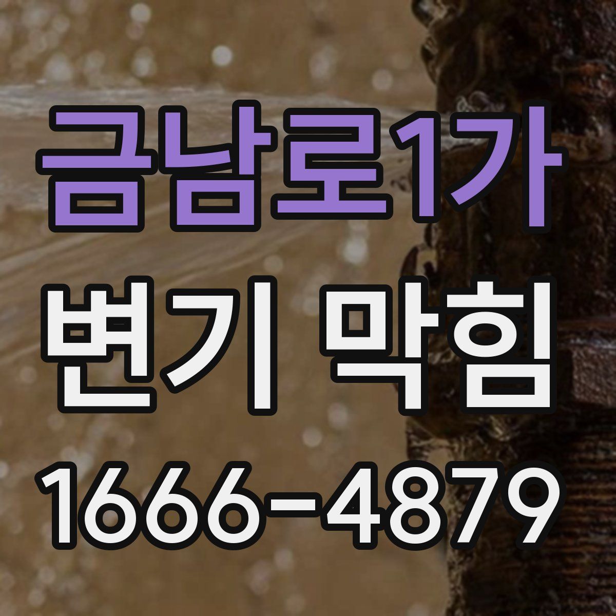 금남로1가 변기 막힘