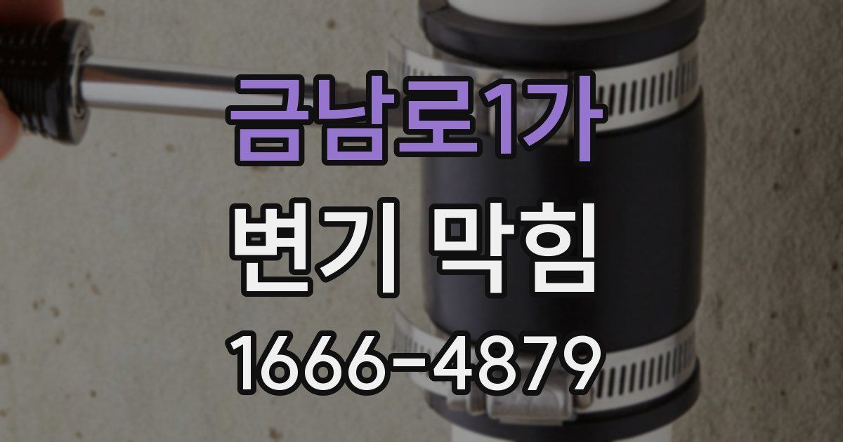 금남로1가 변기 막힘
