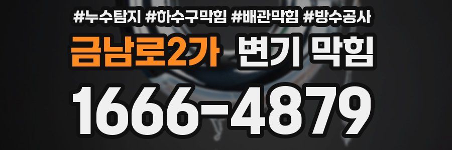 금남로2가 변기 막힘
