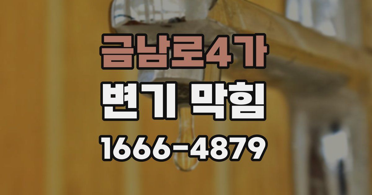 금남로4가 변기 막힘