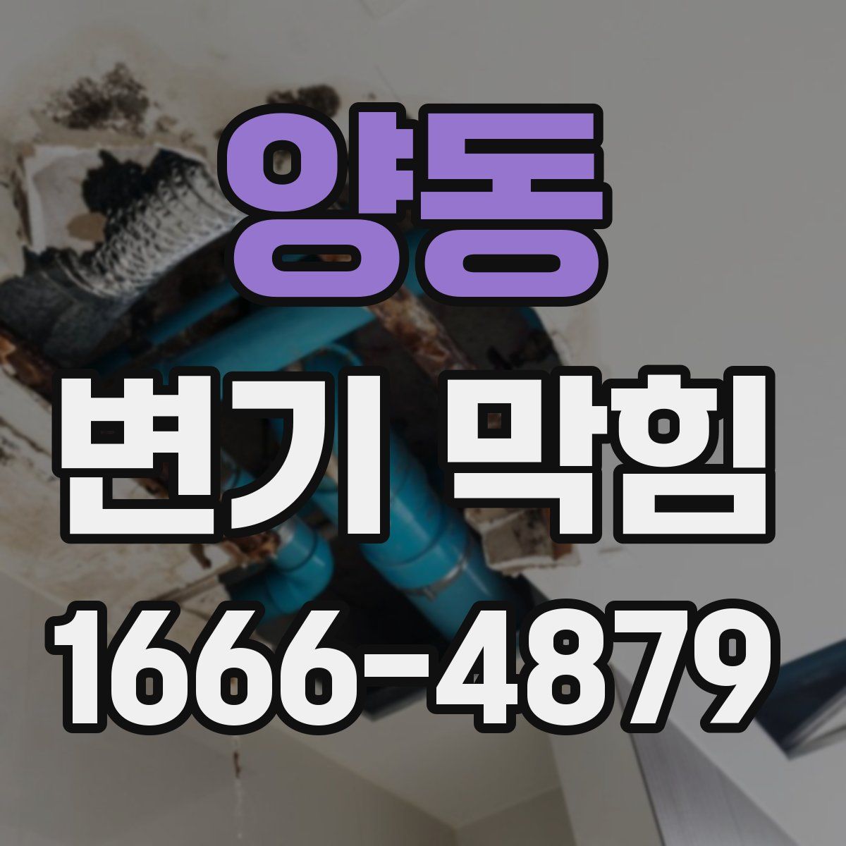 양동 변기 막힘