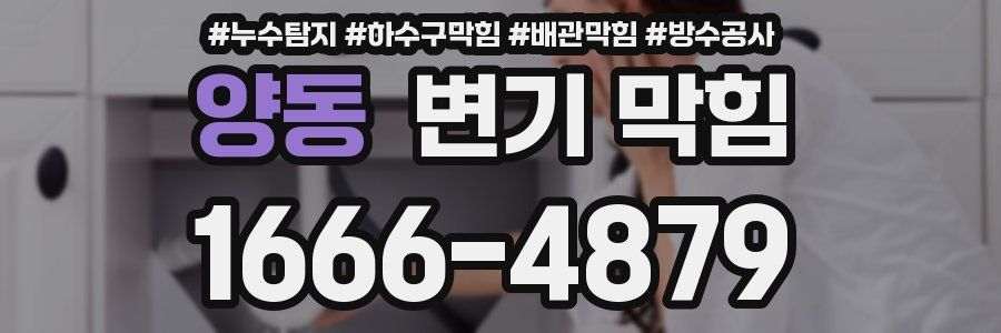 양동 변기 막힘