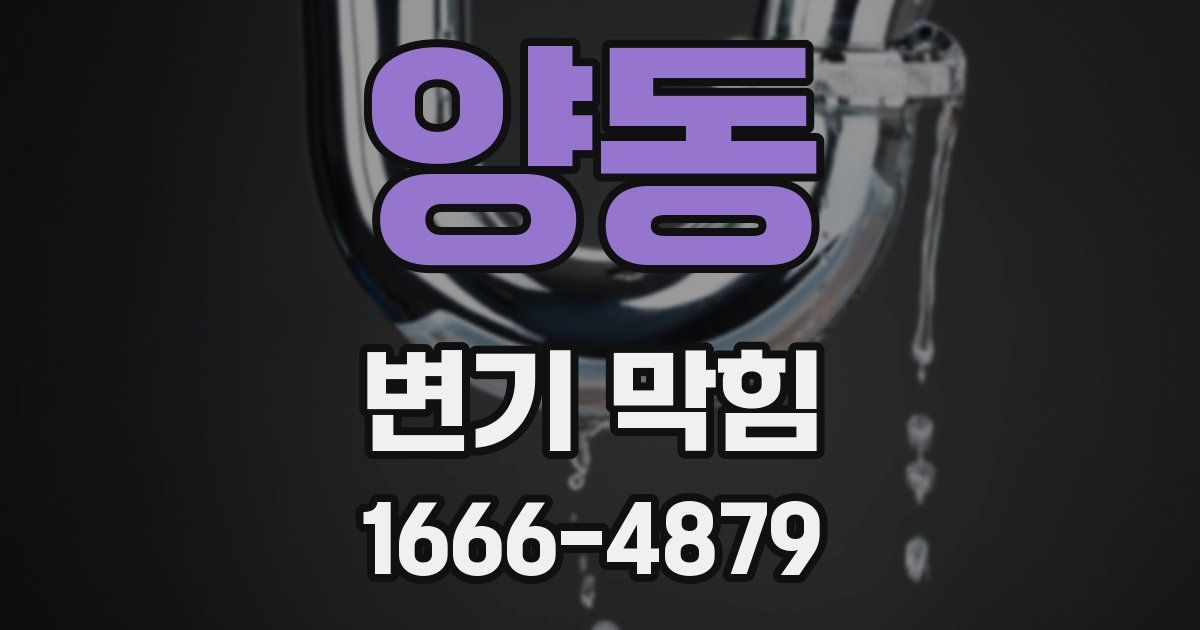 양동 변기 막힘