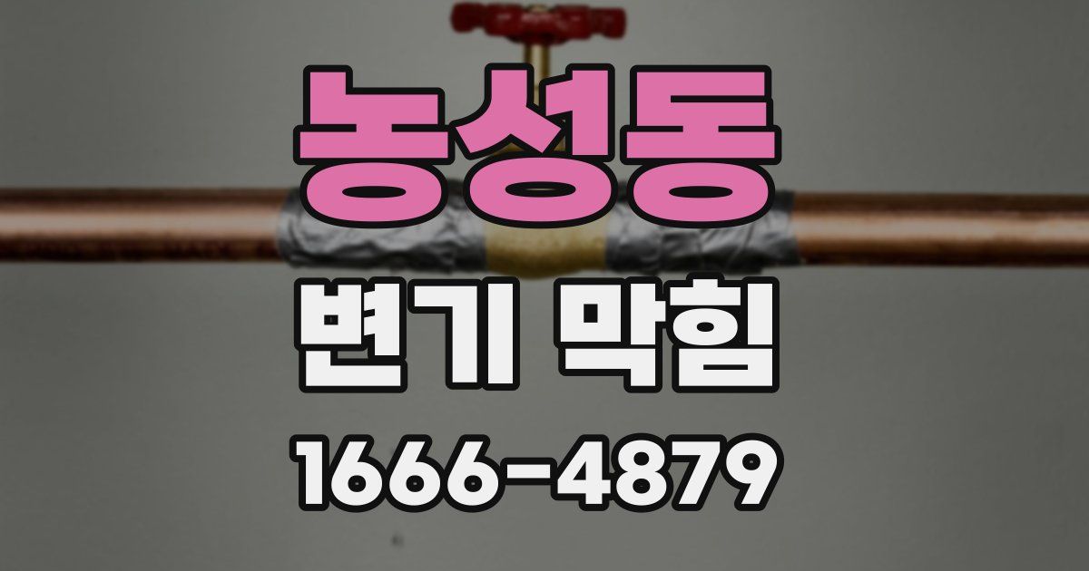 농성동 변기 막힘