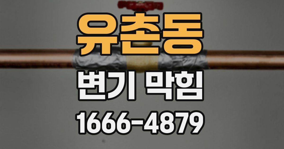 유촌동 변기 막힘