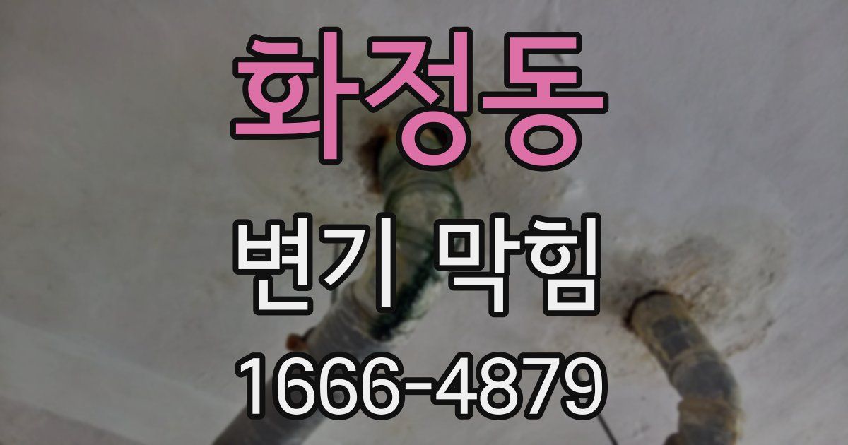 화정동 변기 막힘