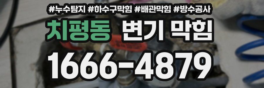 치평동 변기 막힘