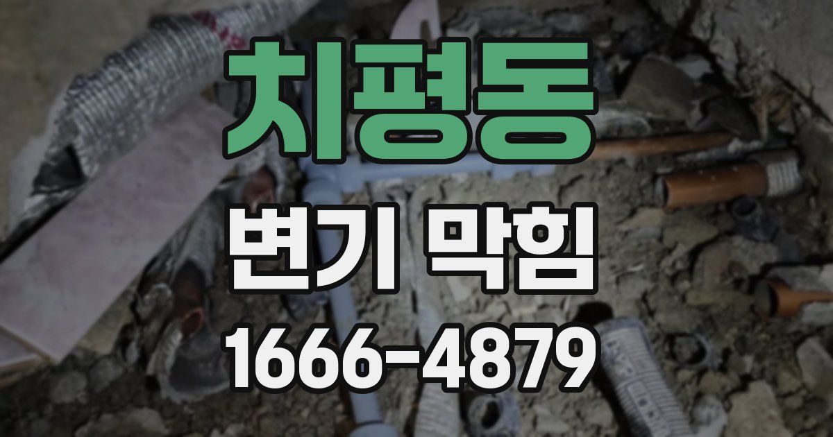 치평동 변기 막힘