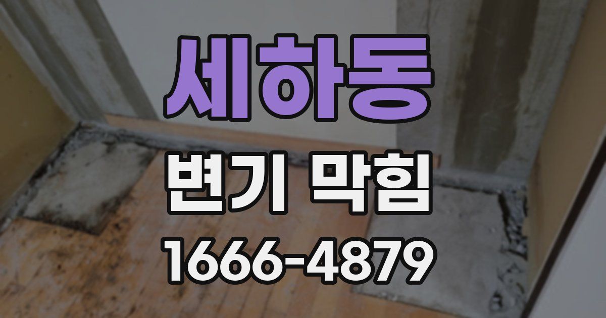 세하동 변기 막힘