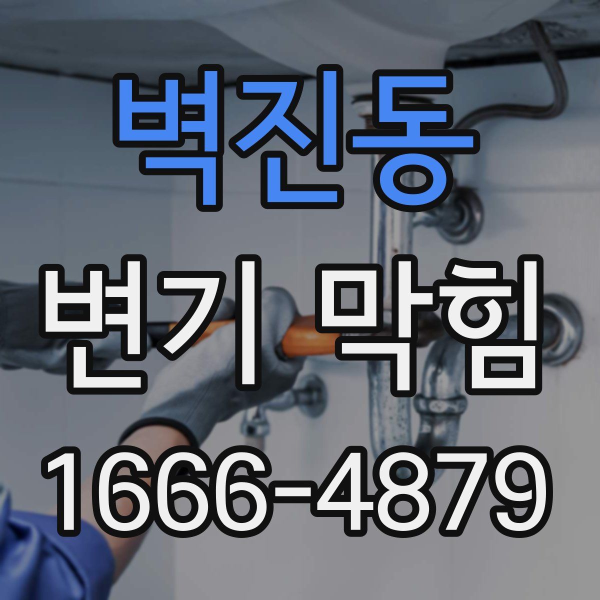 벽진동 변기 막힘