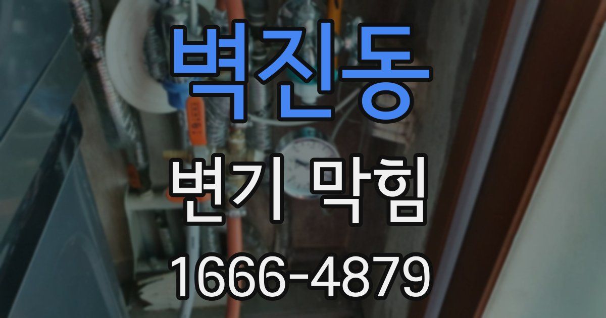 벽진동 변기 막힘