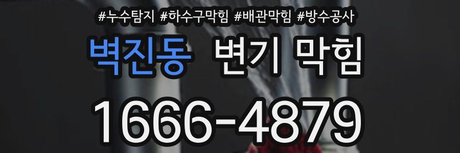 벽진동 변기 막힘