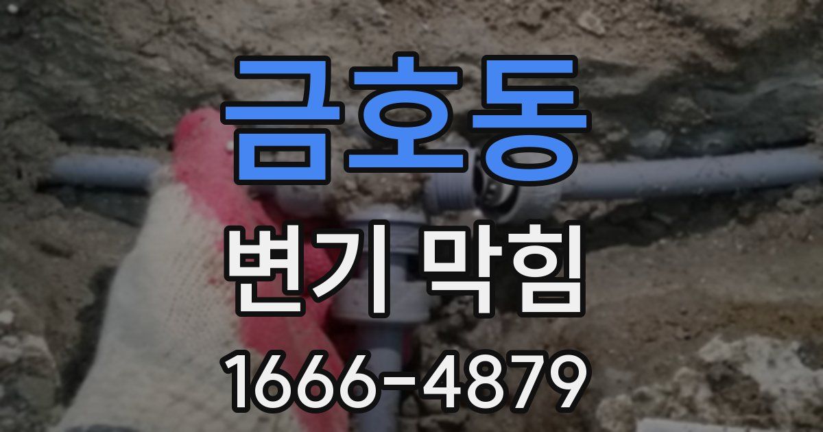 금호동 변기 막힘