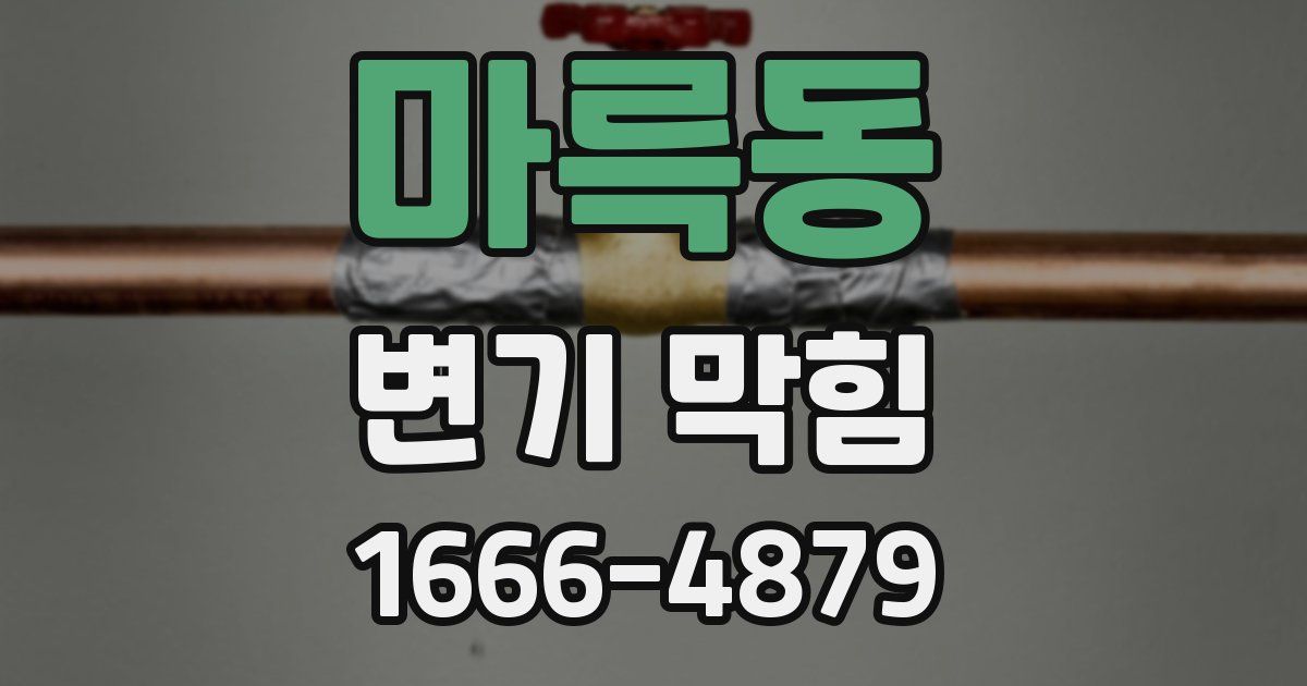 마륵동 변기 막힘