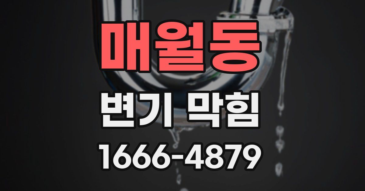 매월동 변기 막힘