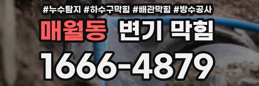 매월동 변기 막힘