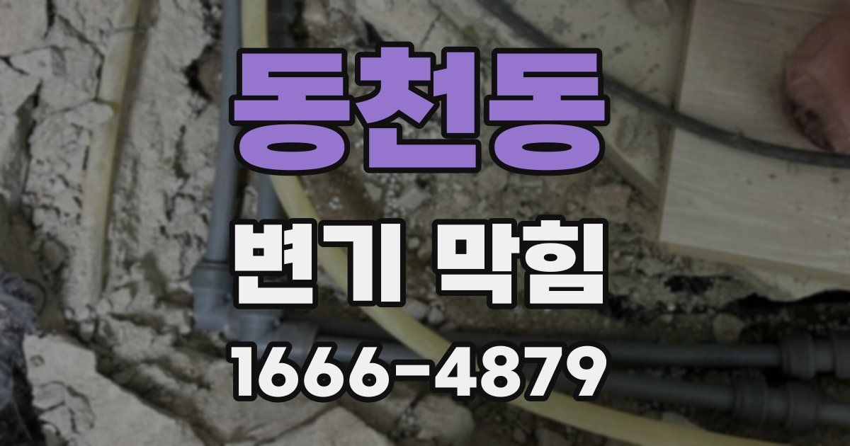 동천동 변기 막힘
