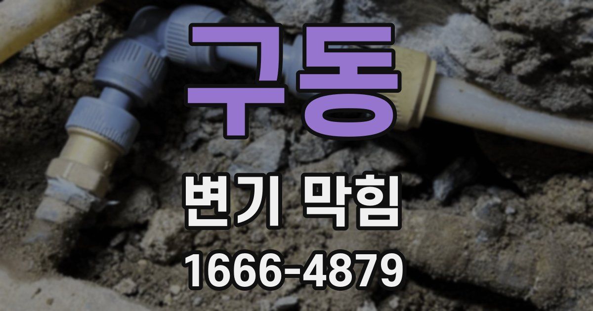 구동 변기 막힘
