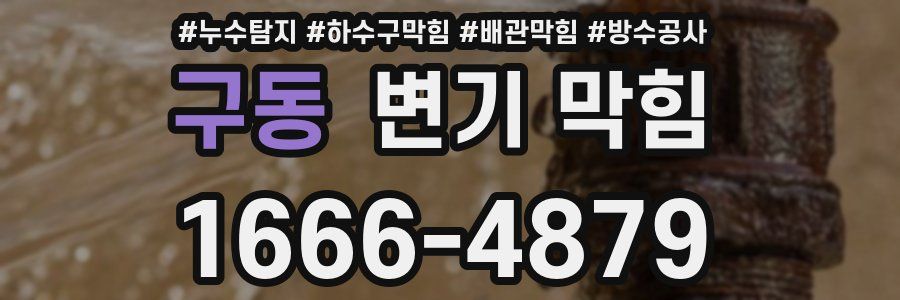 구동 변기 막힘
