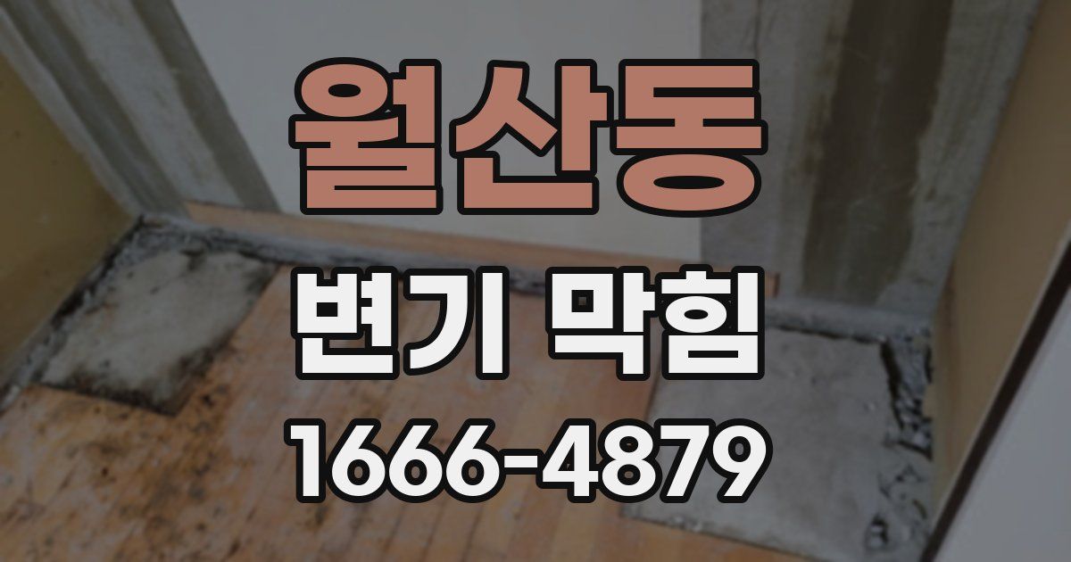 월산동 변기 막힘