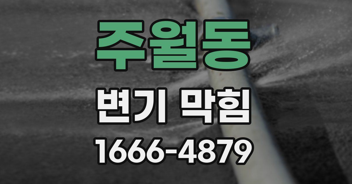 주월동 변기 막힘
