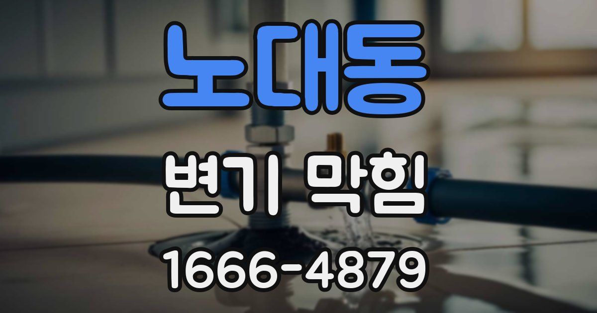 노대동 변기 막힘