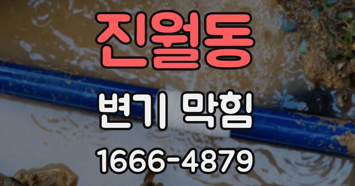 진월동 변기 막힘