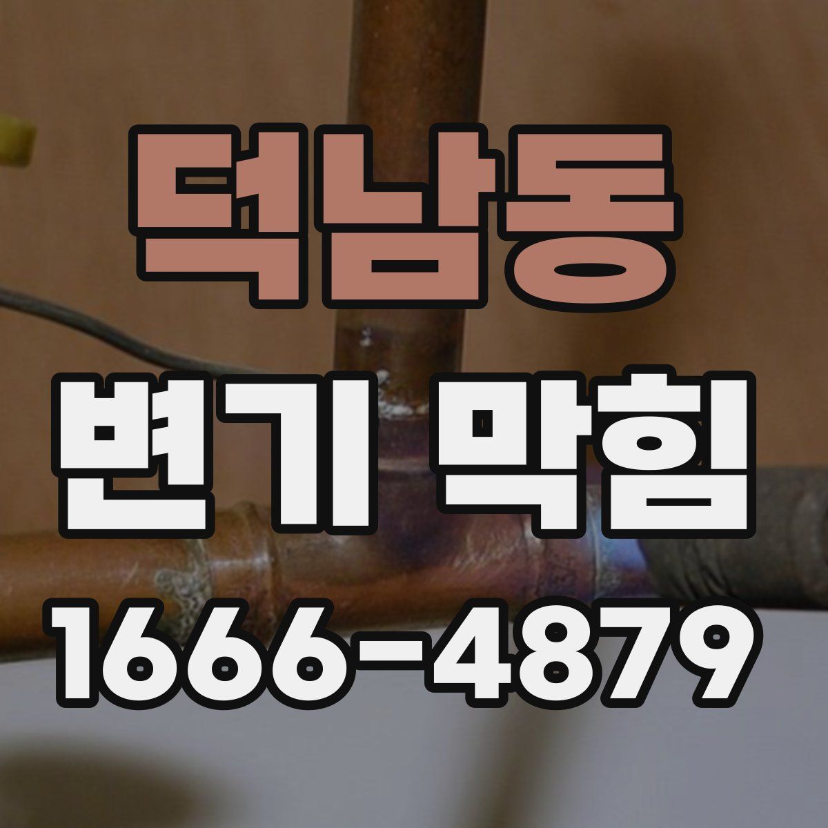 덕남동 변기 막힘