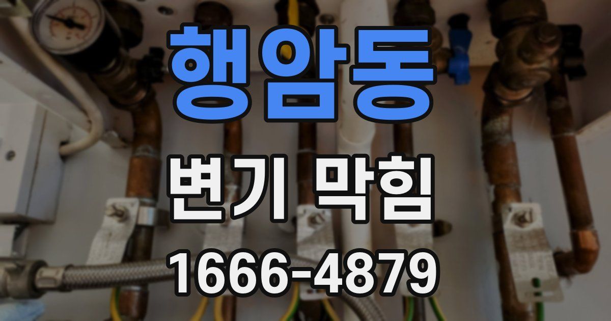 행암동 변기 막힘