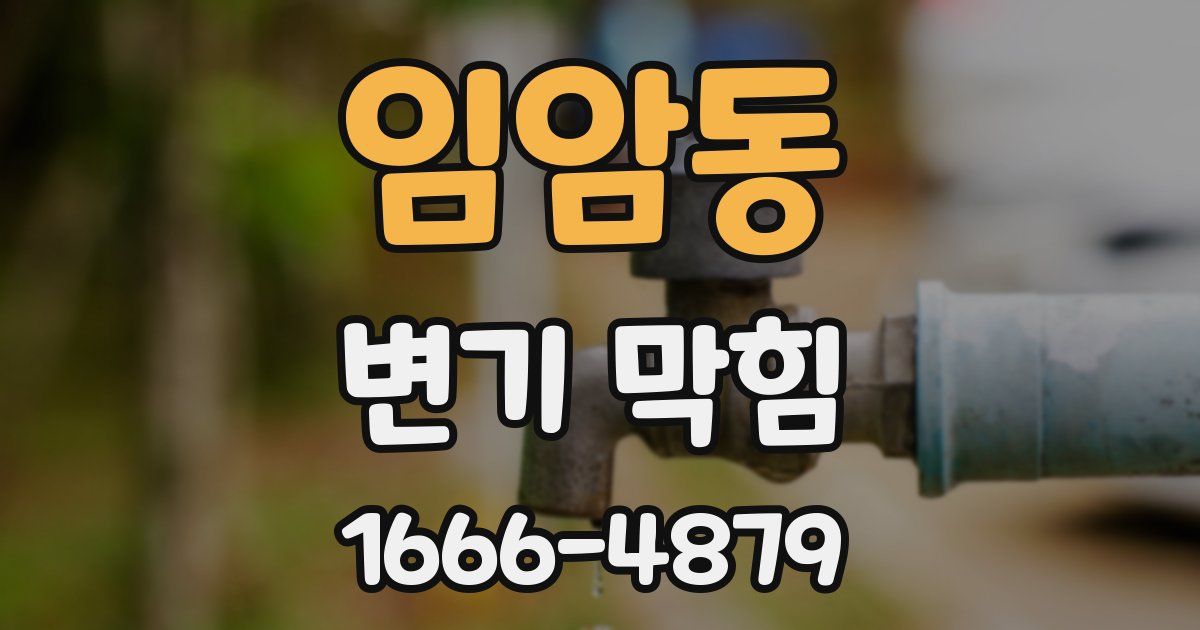 임암동 변기 막힘