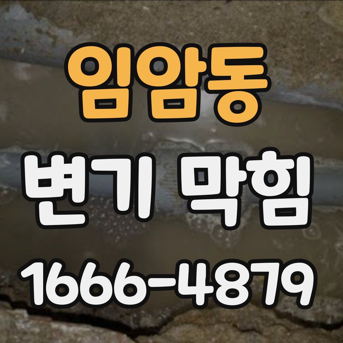 임암동 변기 막힘