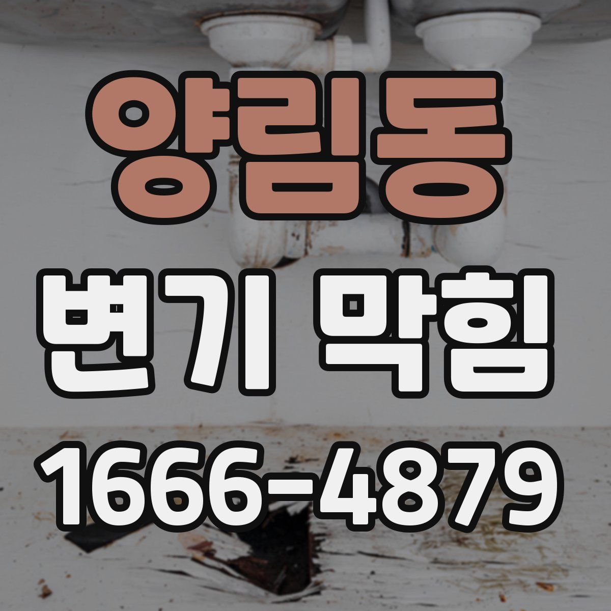 양림동 변기 막힘
