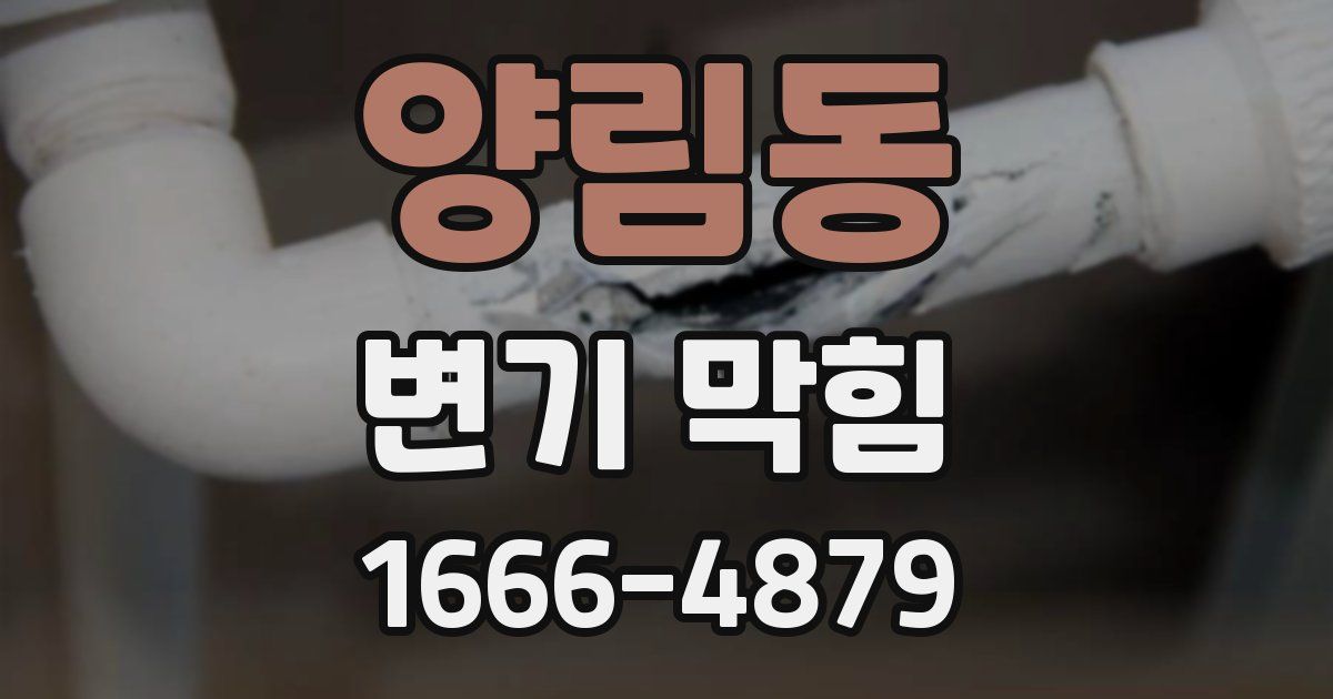 양림동 변기 막힘