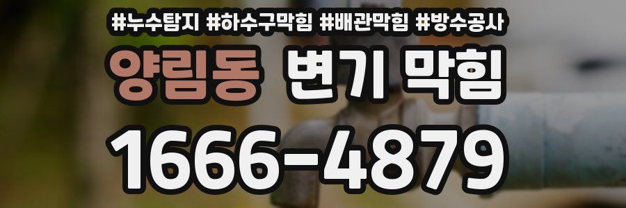 양림동 변기 막힘